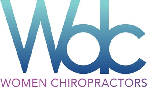 WDC_Logo se logo 2025